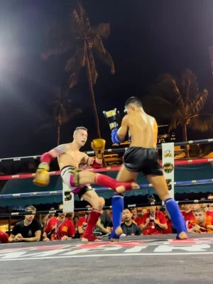 artes marciais e música martial arts and music