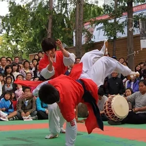 Artes Marciais e Música